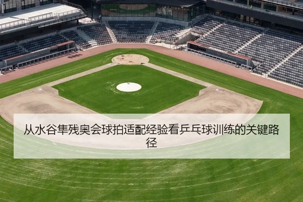 从水谷隼残奥会球拍适配经验看乒乓球训练的关键路径